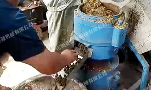 使用吉姆克牌玉米秸稈飼料顆粒機進(jìn)行現場(chǎng)制粒